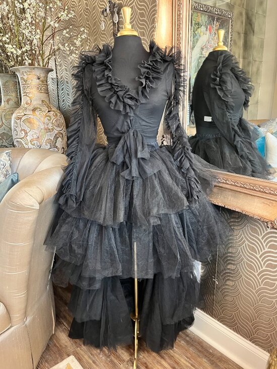 Akira Dresses & Skirts - AKIRA Black High Low Ruffled Tulle Skirt Only